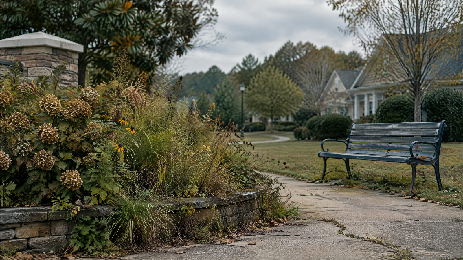 An overgrown neighborhood entrance with a cracked sidewalk